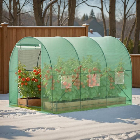 Phonjoroo walk-in greenhouse space ideal for plant stands and care.