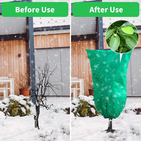 Phopich potted plant cover shields from birds and insects.