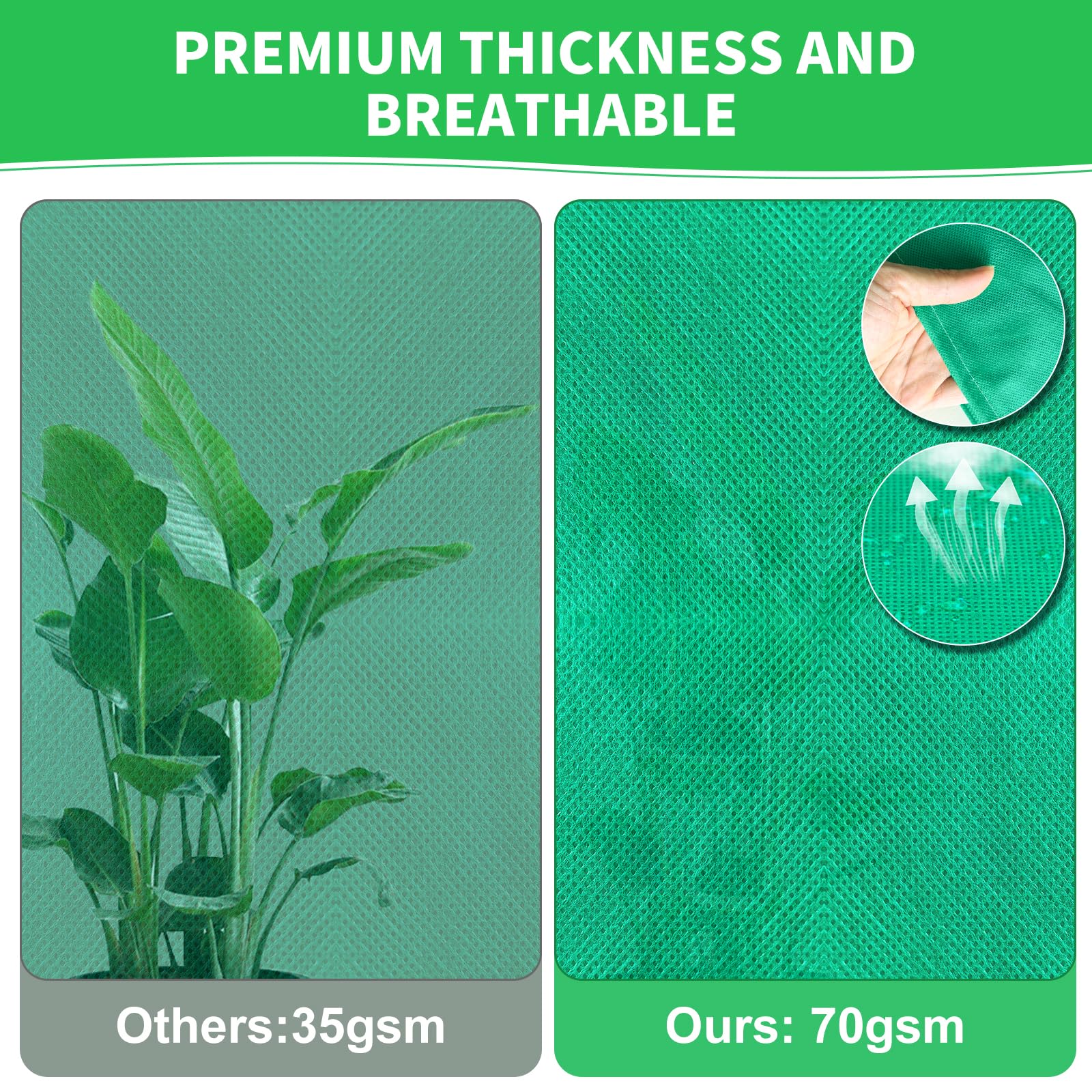 Phopich tree/shrub/fruit cover protects against cold and wind.
