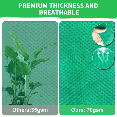 Phopich tree/shrub/fruit cover protects against cold and wind.
