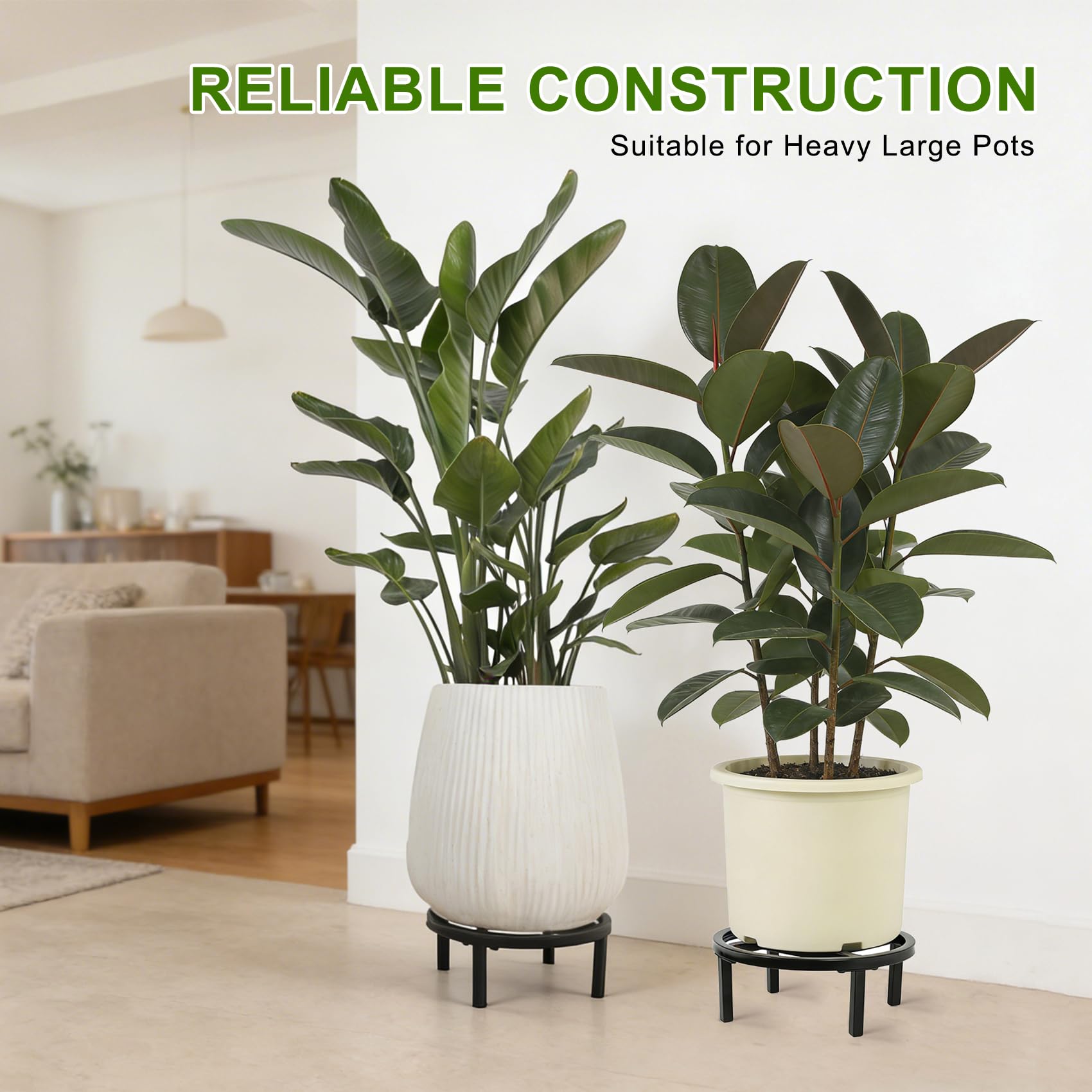 Phyluckny elevate plant display for better light and airflow.