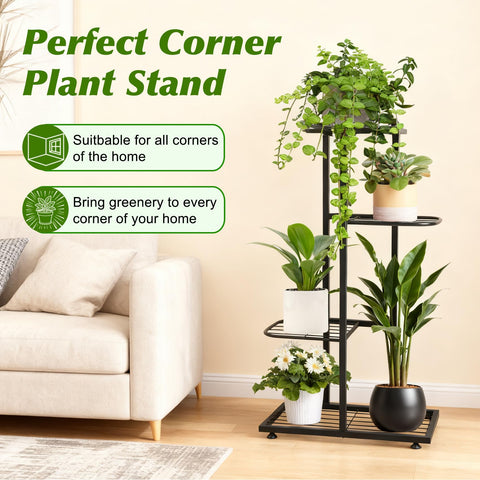 Phyluckny plant display stand elevates plants for better light