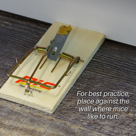 PIC Wood Mouse Trap outdoors-ready setup in garden setting without chemicals