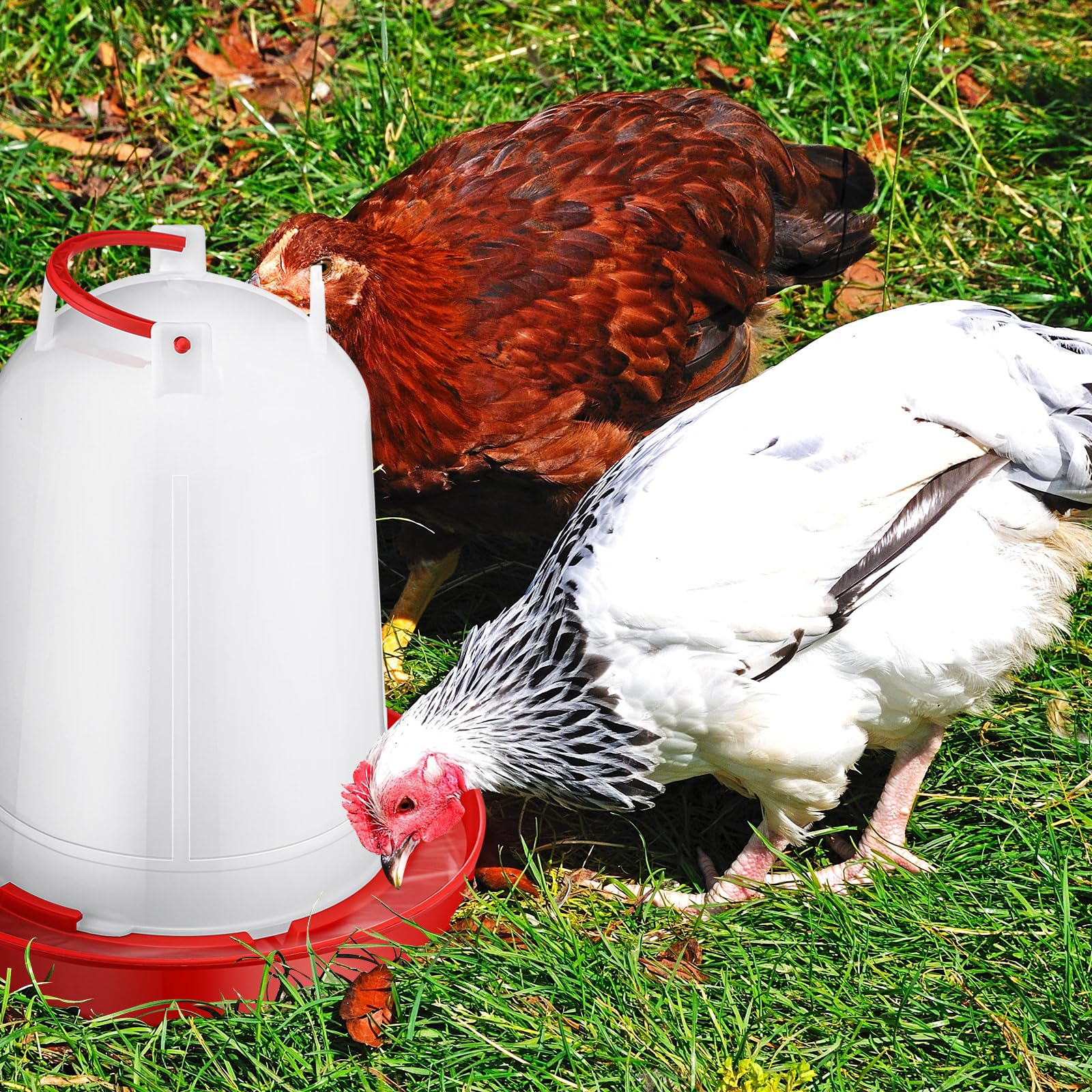 Pickmesh automatic gravity water dispense reduces refilling and spills.