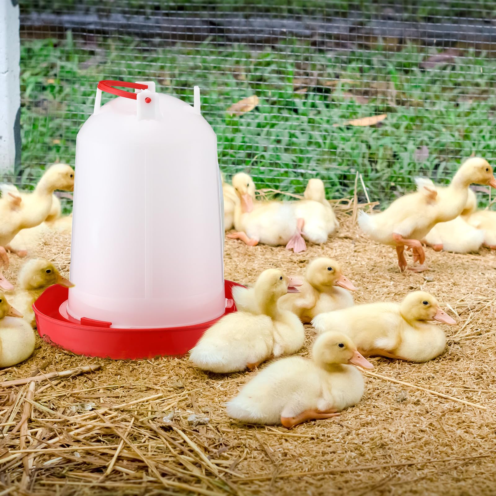 Pickmesh robust plastic poultry waterer design for long farm use.