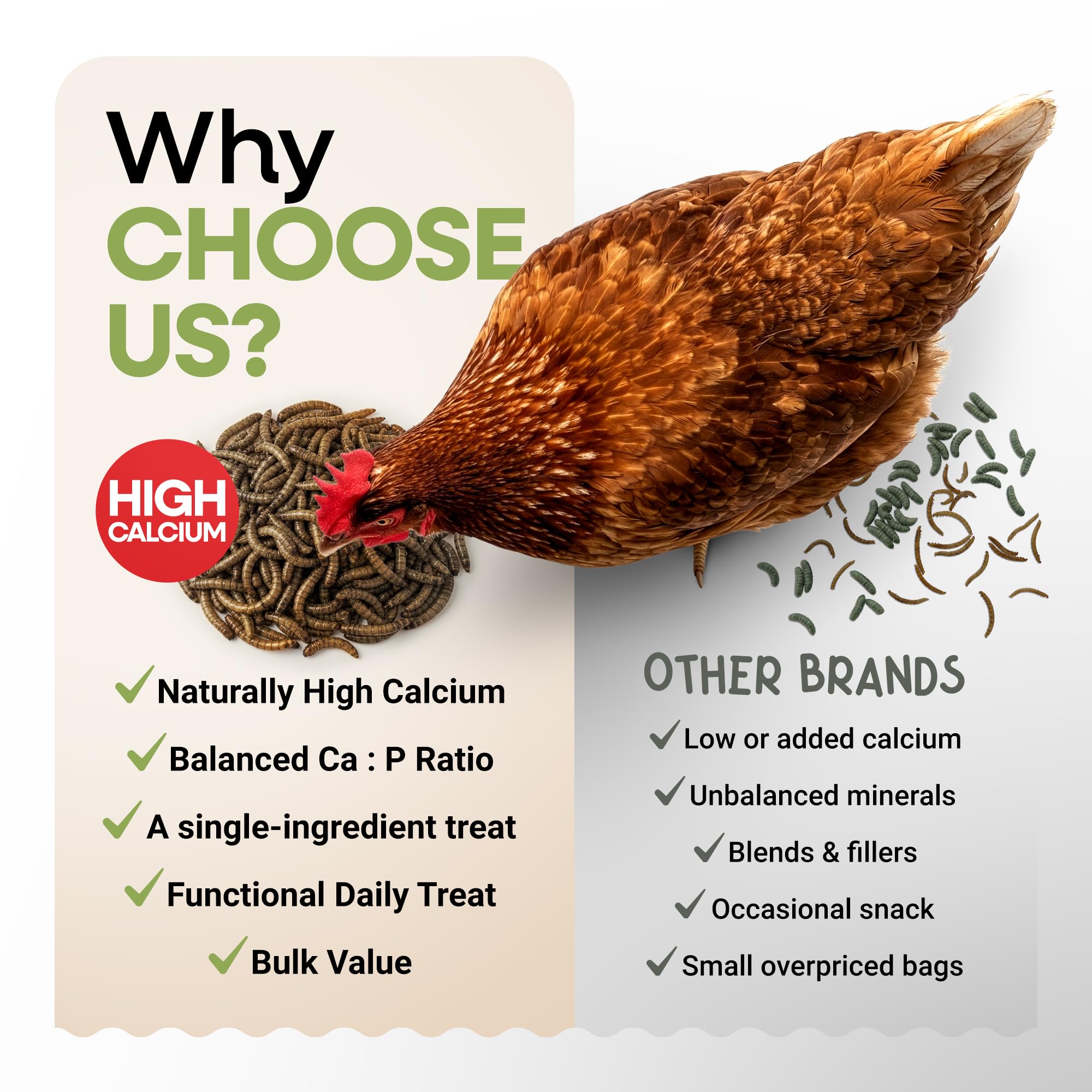 Picky Neb BSFL fed to hens promotes natural feather quality.