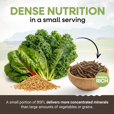 Picky Neb BSFL packaging emphasizes 100% non-GMO and responsible sourcing.