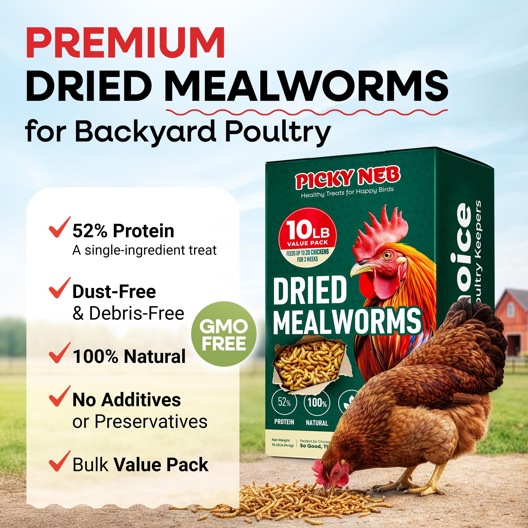 Picky Neb dried mealworms being offered to birds for a protein-rich snack