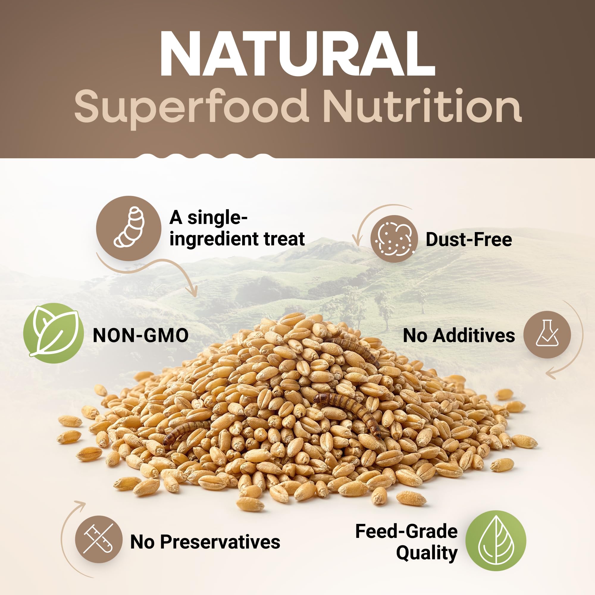 PICKY NEB dried mealworms in bird feeder action for flock treats and energy.