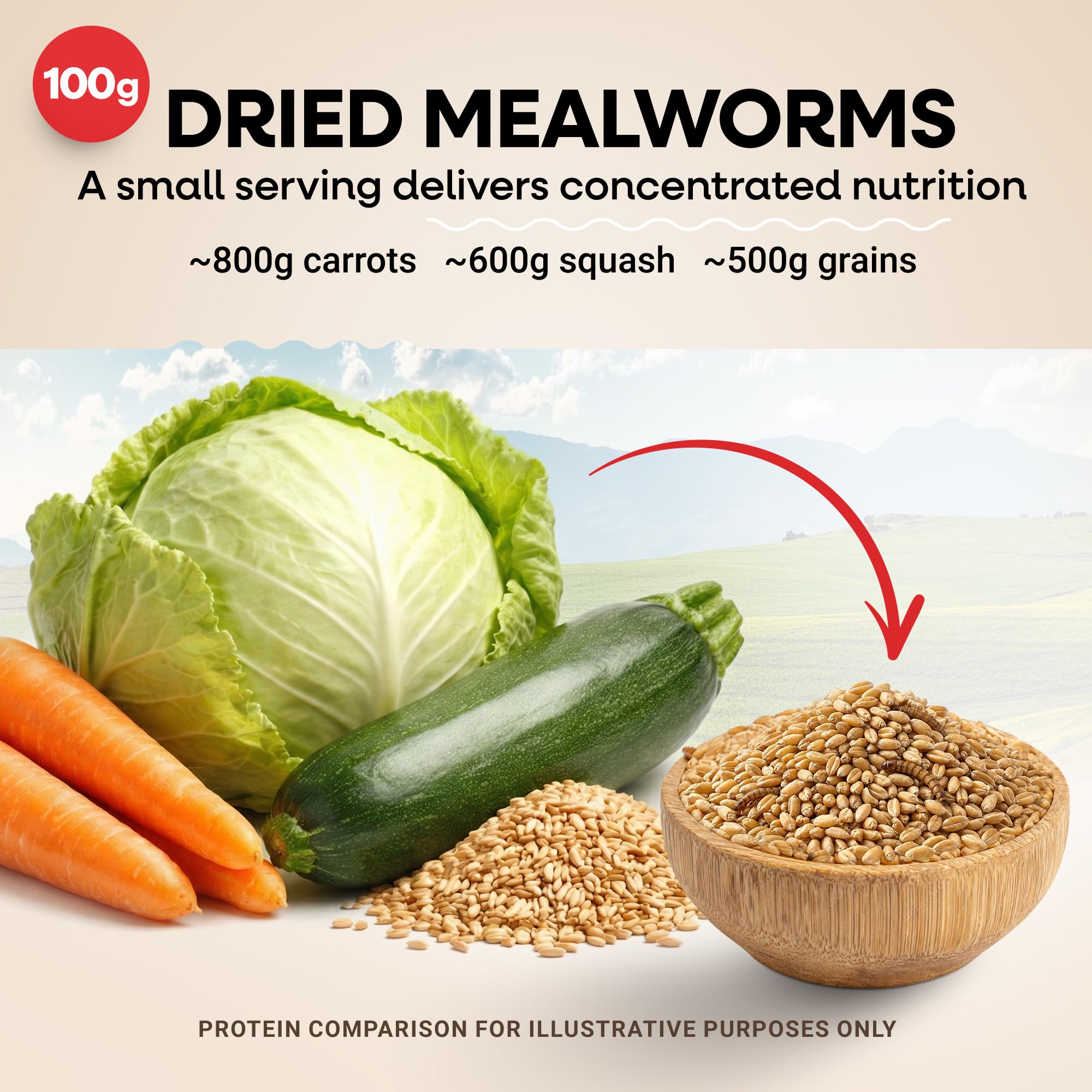 PICKY NEB dried mealworms preservative-free formula supports healthy feathering and molt.