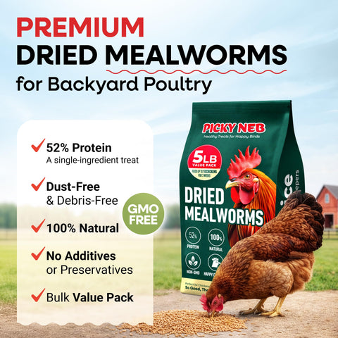 PICKY NEB dried mealworms whole large worms close-up showing natural texture for birds.
