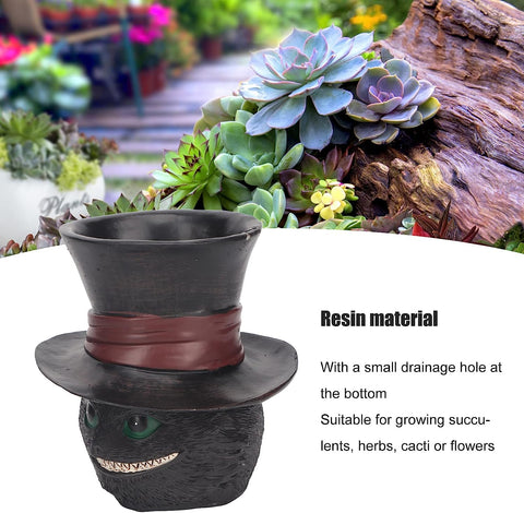 Picvelno black cat planter on a window sill adds whimsy