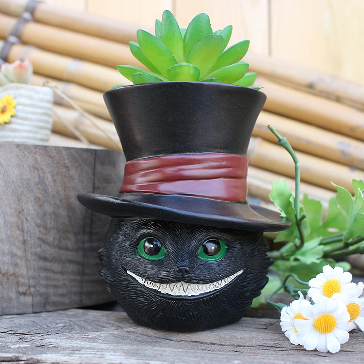 Picvelno cat head planter succulent close-up shows detailed resin finish