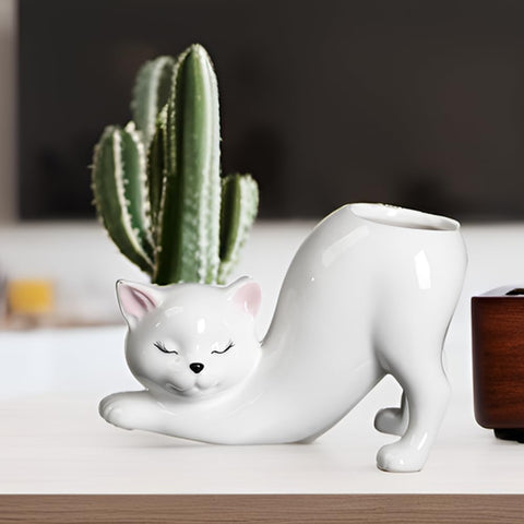 Picvelno cute kitty succulent pot on a sunny windowsill for herbs.