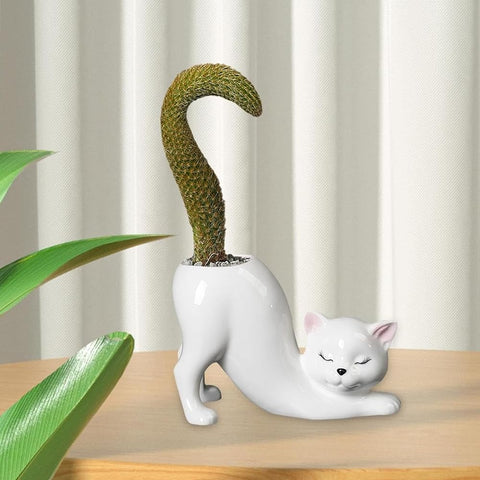 Picvelno compact cat planter fits small spaces for bonsai or succulents.