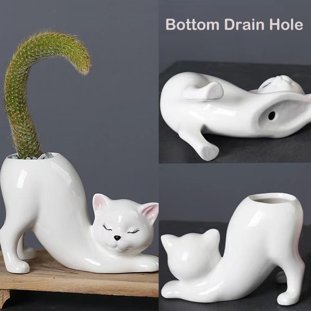 Picvelno ceramic cat planter on kitchen counter ready for herbs.