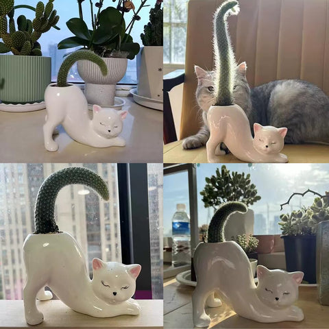 Picvelno outdoor-safe kitten pot on patio, durable for year-round use.