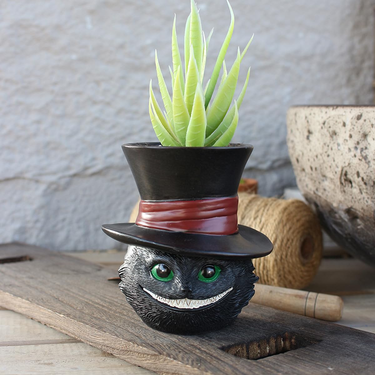 Picvelno succulent pot with cat face makes a thoughtful gift