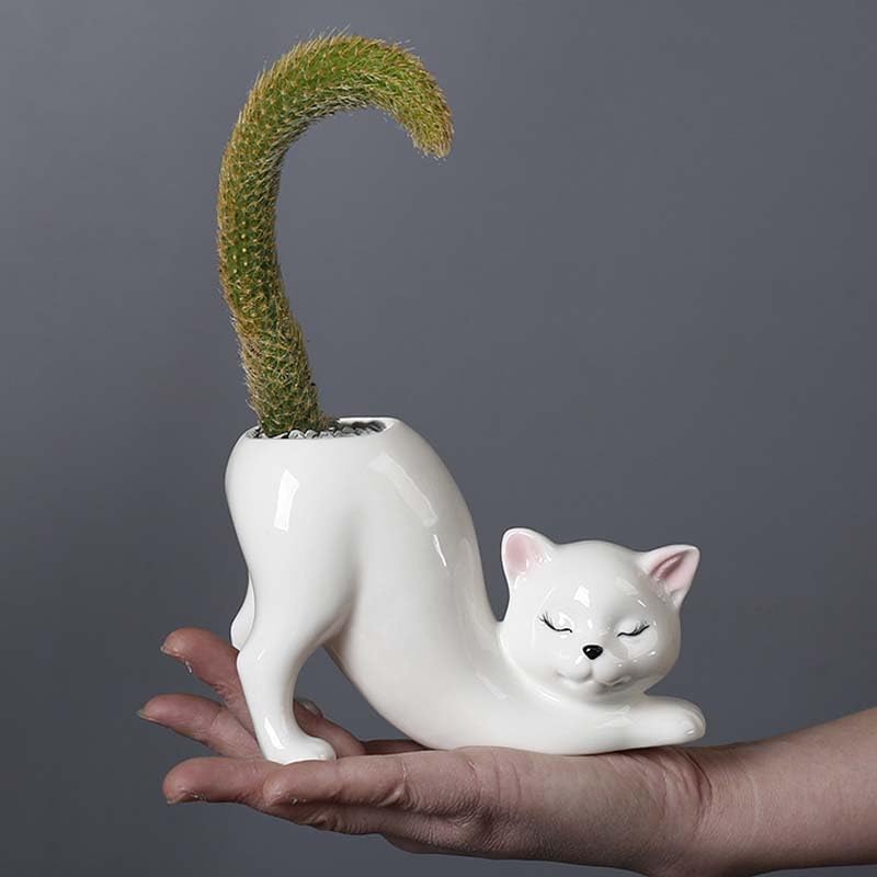 Picvelno unique tailless-cat planter adds playful indoor charm for succulents.
