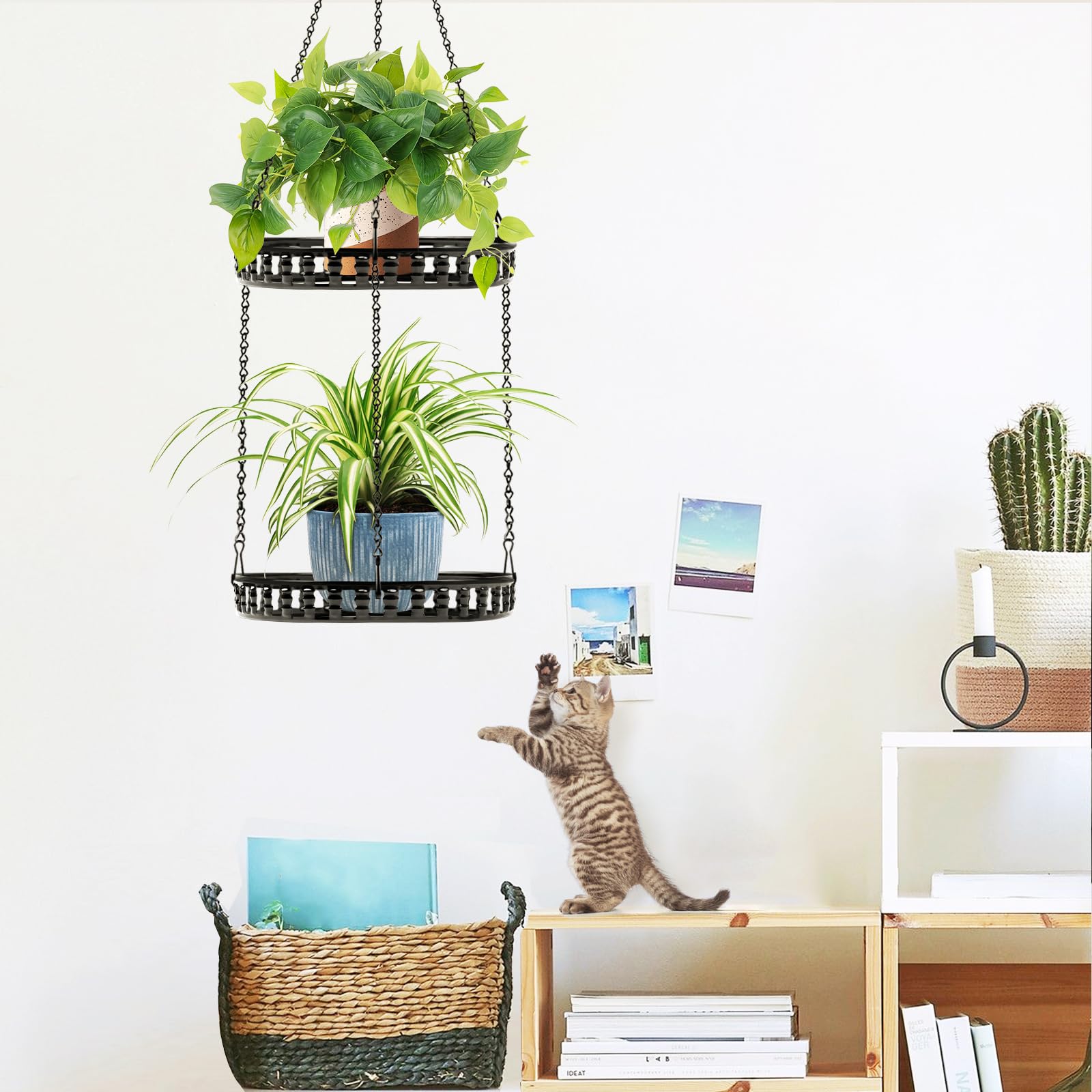 PIKAMAO metal hanging planter close-up highlighting sturdy iron construction