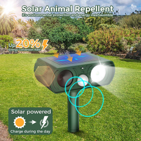 IP65 waterproof build protects the unit in rain and sun