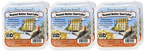 Pine Tree Farms Peanut Butter Suet Cake at a bird feeder attracts diverse birds to your feeder.