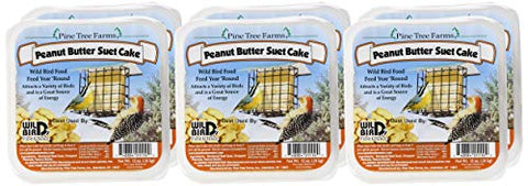 Pine Tree Farms Peanut Butter Suet Cake at a bird feeder attracts diverse birds to your feeder.