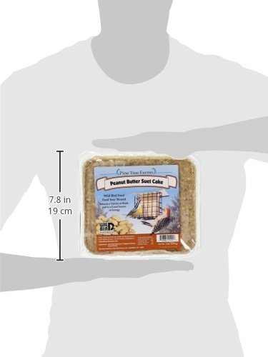 Pine Tree Farms 1421 suet cake hung from a feeder invites backyard songbirds