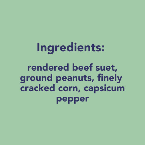 Pine Tree Farms pepper formula helps deter squirrels while birds benefit from nutrition.