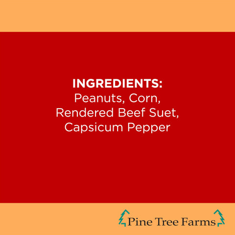 Diverse bird activity with Pine Tree Farms Never Melt Hot Pepper Suet Cake