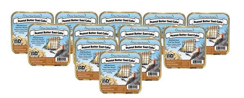 Pine Tree Farms Peanut Butter Suet Cake attracts a variety of backyard birds.