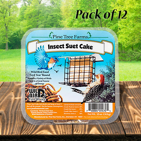 Pine Tree Farms suet cake attracting bluebirds and chickadees in your yard.