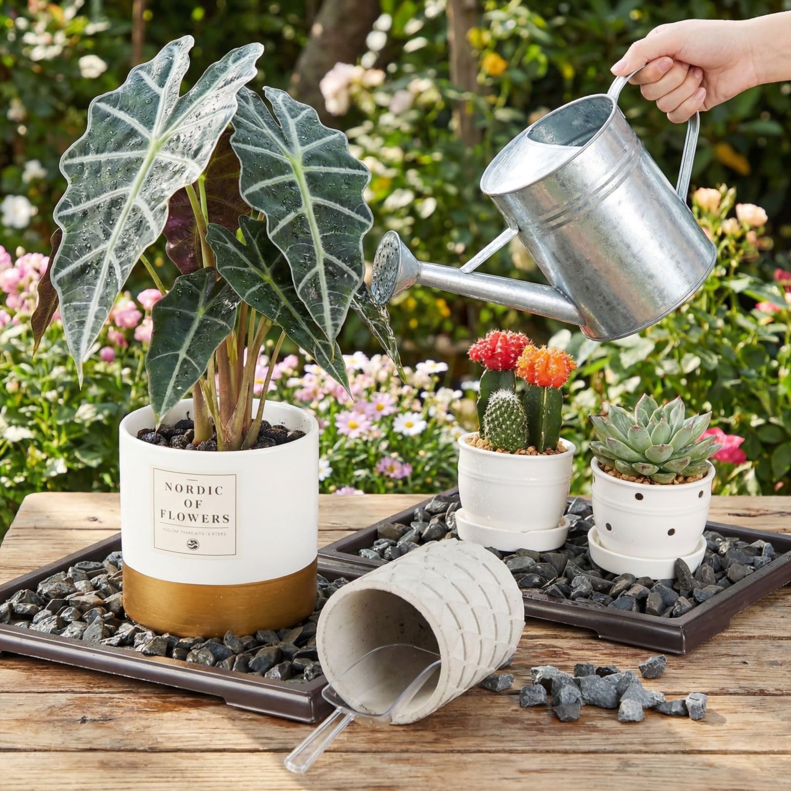 Pinkunn bonsai humidity tray durable plastic construction for long‑lasting use.