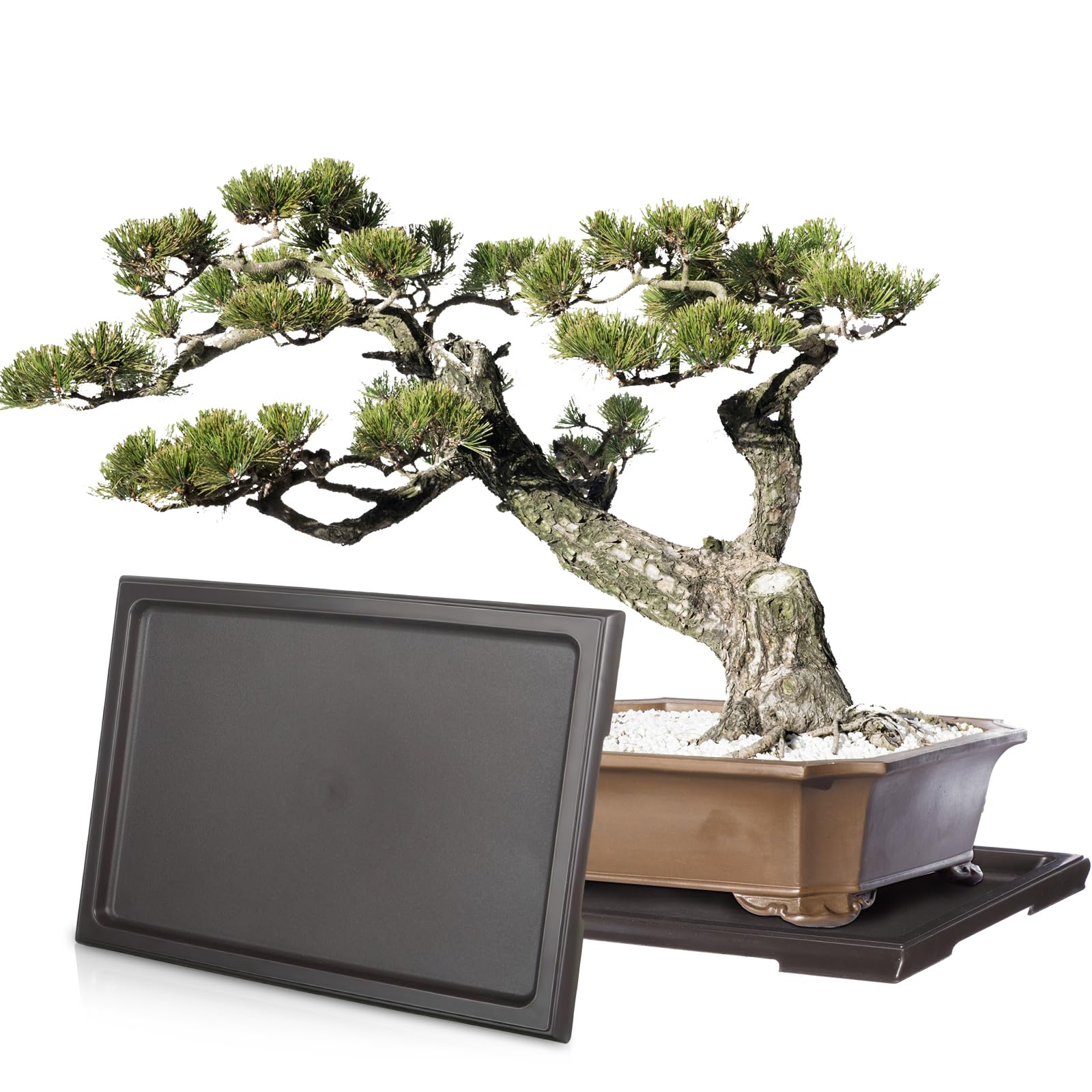 Pinkunn bonsai humidity tray rectangular 11x8 inches catching excess water to protect surfaces.