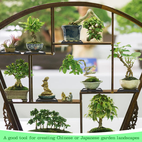 Pinkunn bonsai tray fits most pots while keeping floors dry