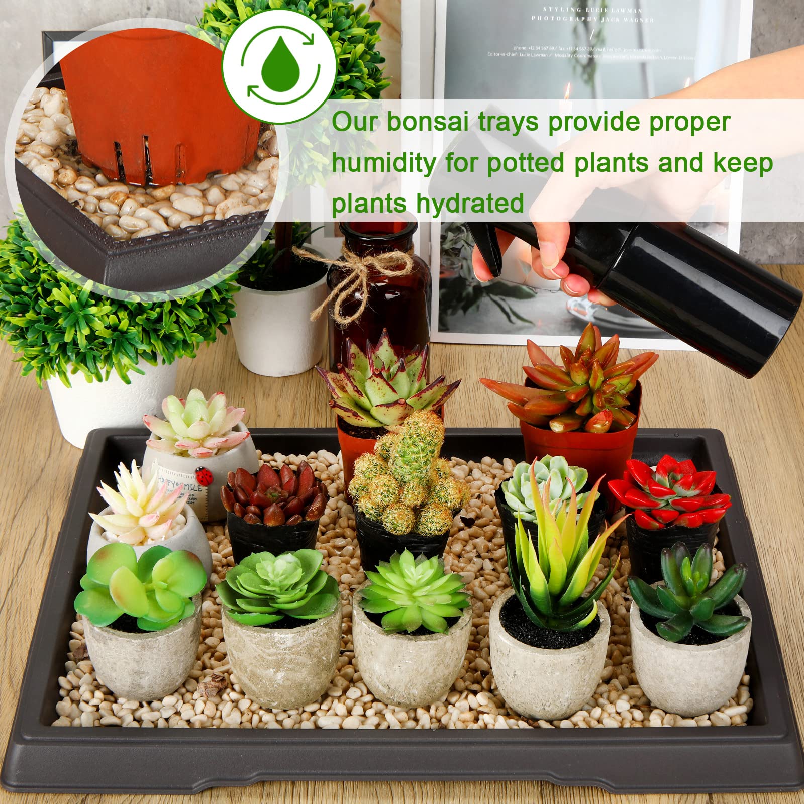 Pinkunn large bonsai planter tray fits most pots and maximizes space.