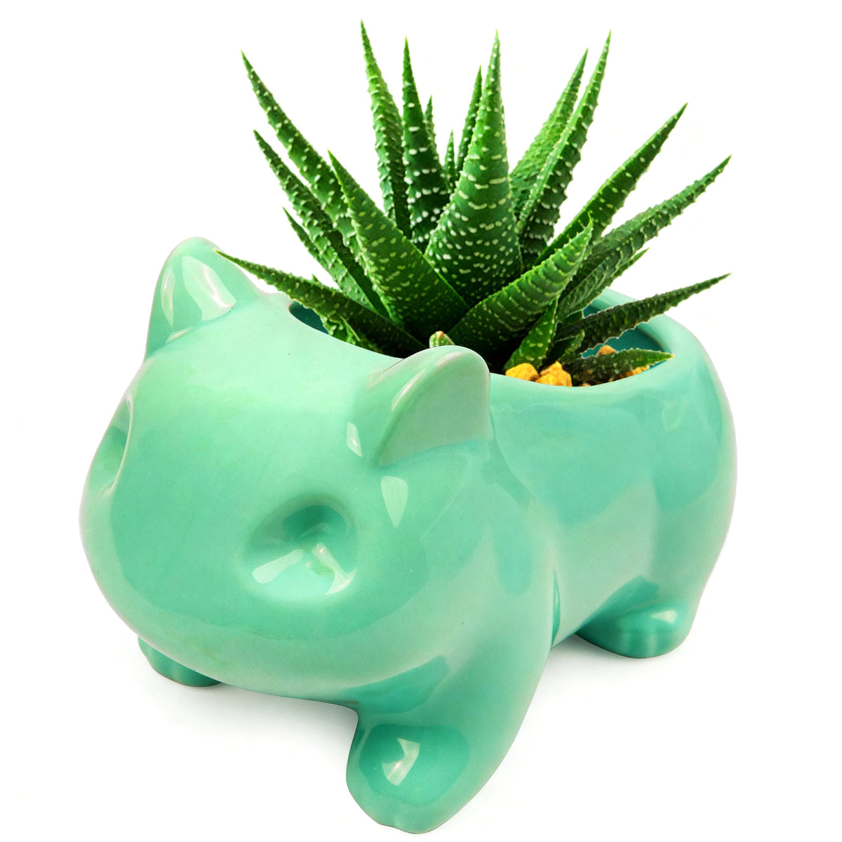 Pinsjar cartoon ceramic flowerpot in green glaze for small succulents.