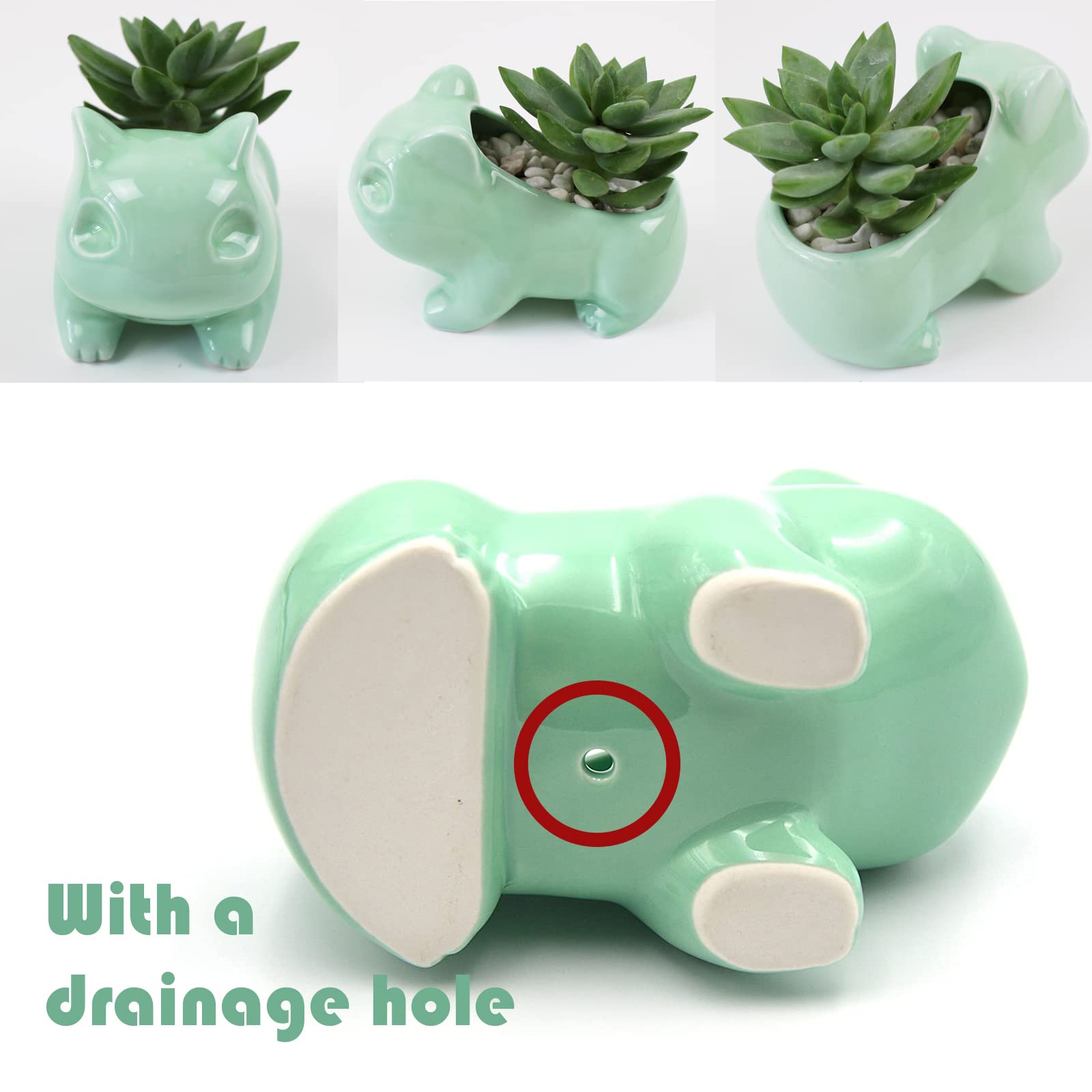 Pinsjar green animal-shaped pot adds whimsy for tiny plants.