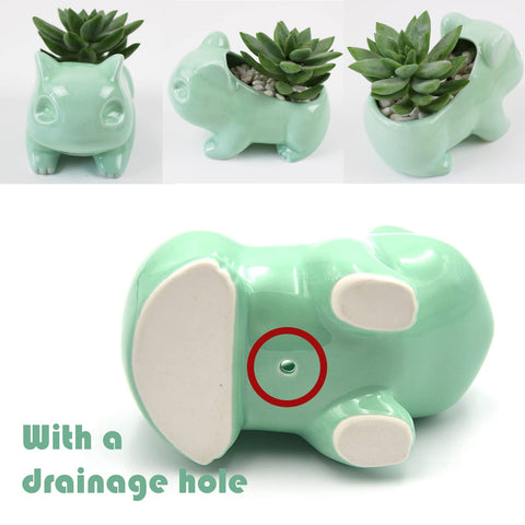 Pinsjar green animal-shaped pot adds whimsy for tiny plants.