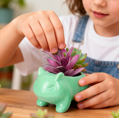 Pinsjar indoor decor flowerpot for shelves and windowsills.