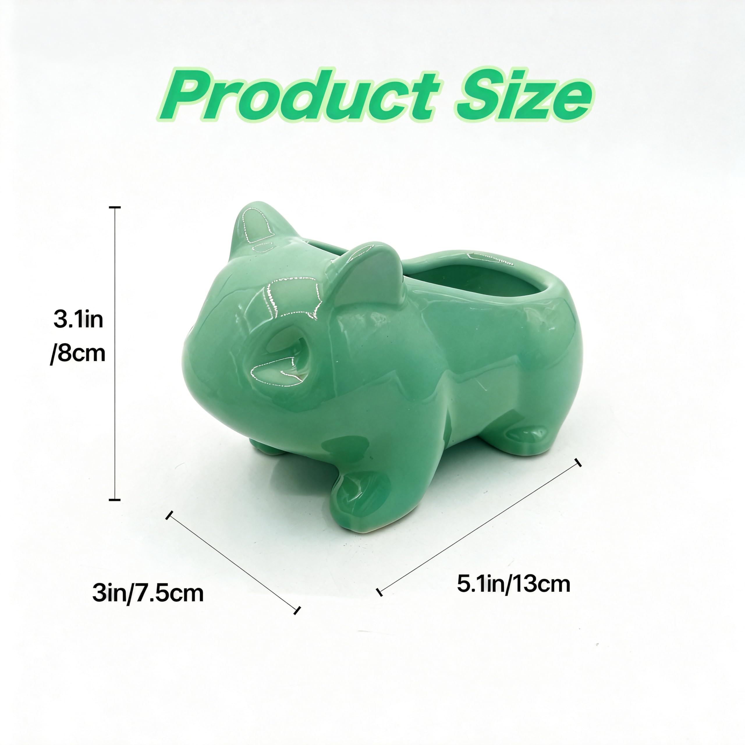 Pinsjar succulent pot with drainage hole for healthy watering.