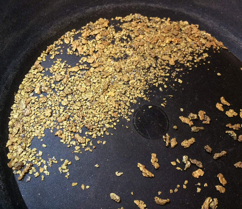 Pioneer Paydirt shows gold nuggets and flakes inside for treasure hunting.
