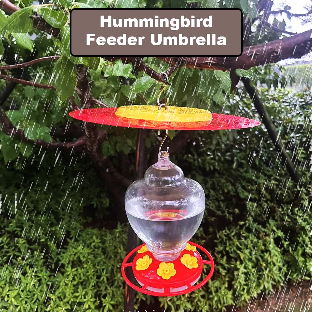 PirateAnt durable metal construction for outdoor feeder protection.
