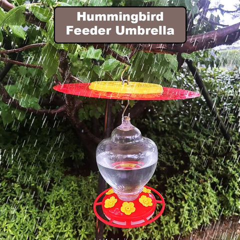 PirateAnt durable metal construction for outdoor feeder protection.
