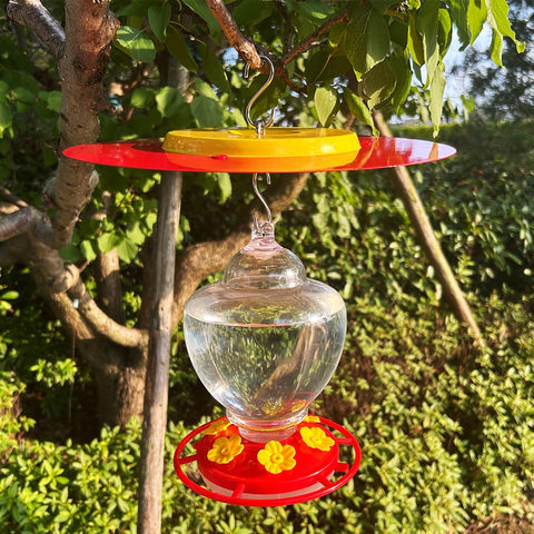 PirateAnt garden ornamental bird feeder umbrella adds charm and protection.