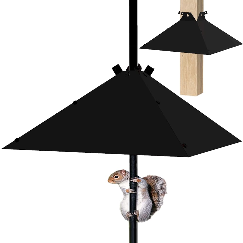 PirateAnt Squirrel Baffle with 17-inch opening deters squirrels from bird feeders.