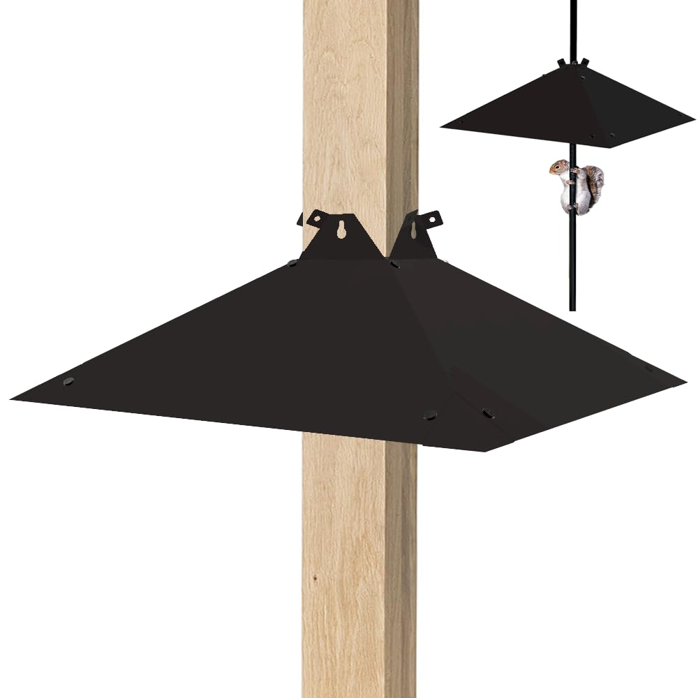 PirateAnt Squirrel Baffle, 21-inch wide, enhances feeder protection.