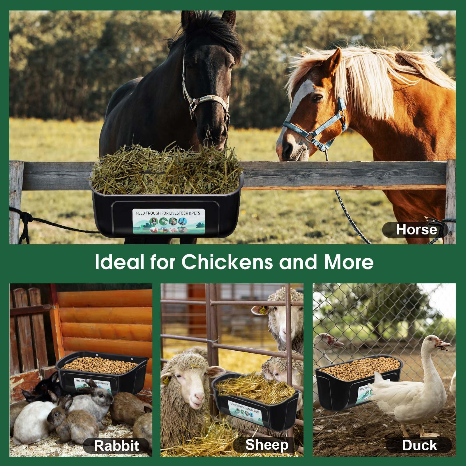 PIREKZUNT easy-clean design helps maintain a tidy poultry area.