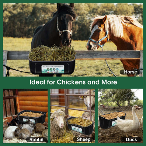 PIREKZUNT easy-clean design helps maintain a tidy poultry area.