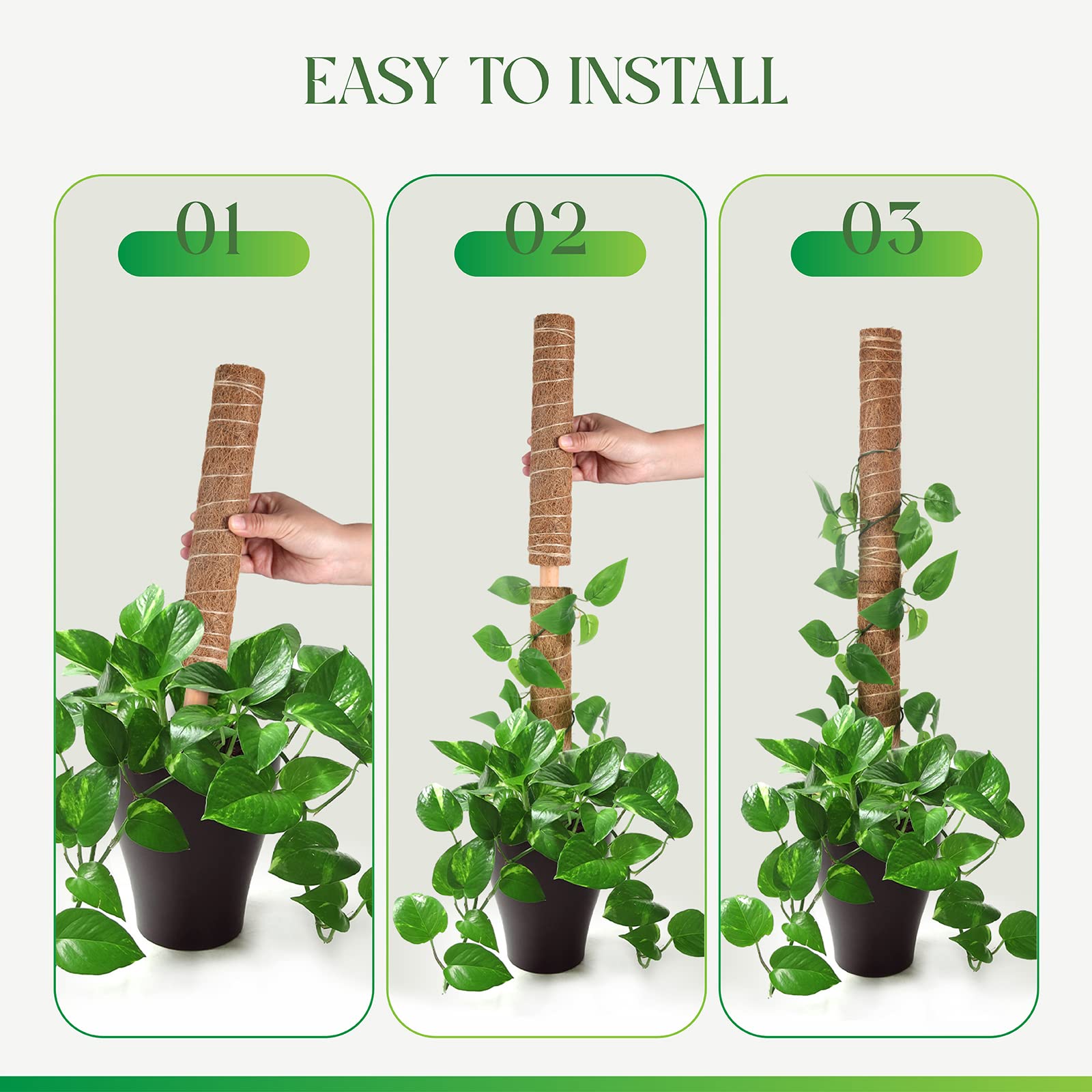Pisol indoor outdoor plant trellis supports climbing vines and foliage